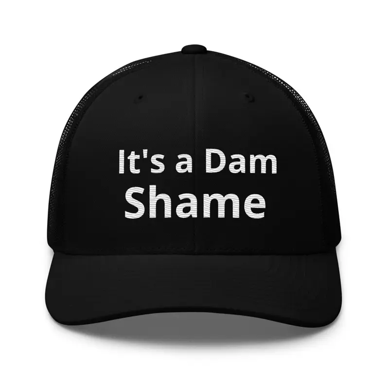 It's a Dam Shame Hat 2.0